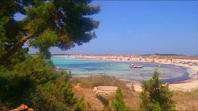 Platja de Ses Illetes