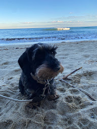 Photo n°38 de Villa Petit-Prince à Sainte-Maxime (Maison de vacances non-fumeurs)