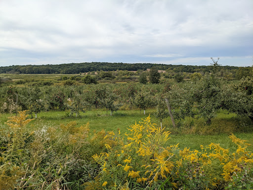 Door Creek Orchard Gallery - United States