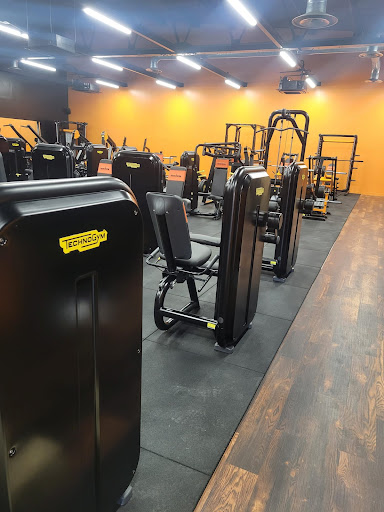 Basic Gym - Visual