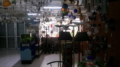 Photos of Coast Lamps Ltd
