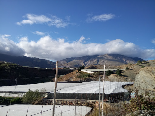 Cortijo García - Thumbnail