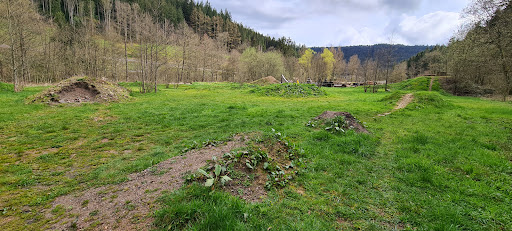 Mountainbike Parcour Alpirsbach