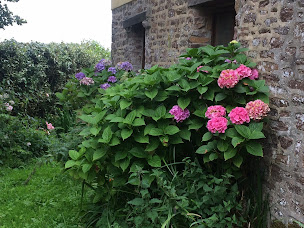 Photo n°20 de Le Vérotin à Ver (Chambre d'hôtes)
