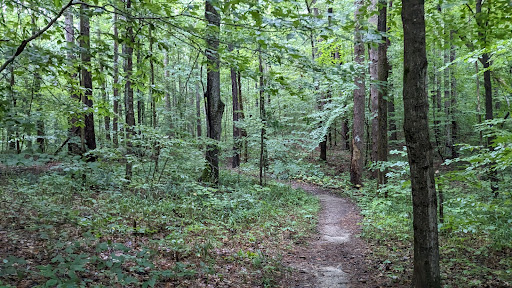 Yellowwood State Forest - Thumbnail