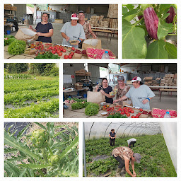 Photo n°1 de La Ferme du Major à Raismes (Association caritative)