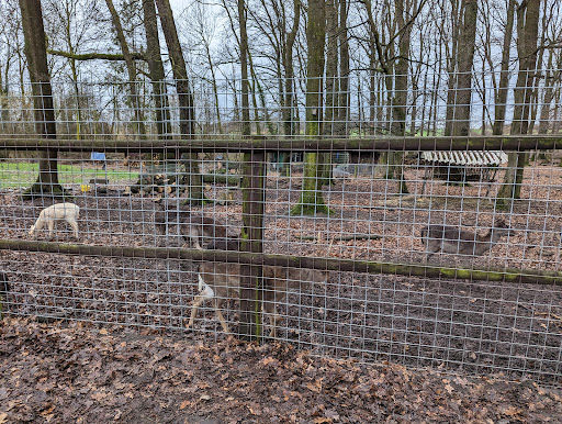 Wildpark Hamm - Thumbnail