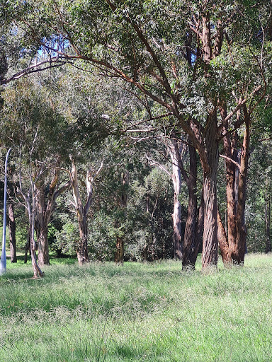 Quirk Reserve - Thumbnail