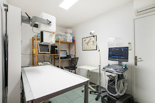 Photo n°2 de Clinique vétérinaire des 1000 pattes - Pithiviers - Sevetys à Pithiviers (Vétérinaire)