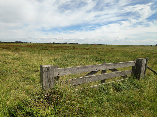 Camping "De Vrijheid" Gallery - Netherlands