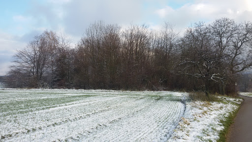 Vogelschutzanlage - Thumbnail