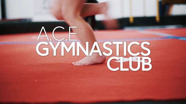 Comments and reviews of ACE Gymnastics Club