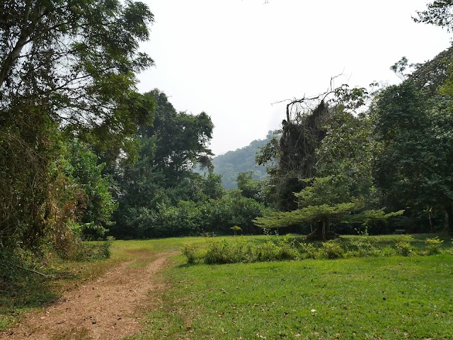 Chutes d'Ekom