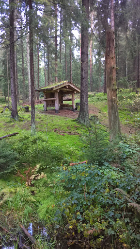 Hähnleinsbrunnen - Visual
