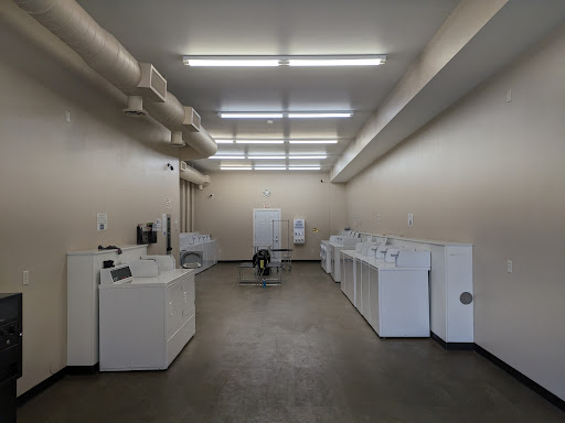 Monte Laundry - Visual