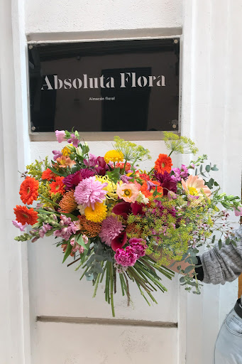 Absoluta Flora - Visual