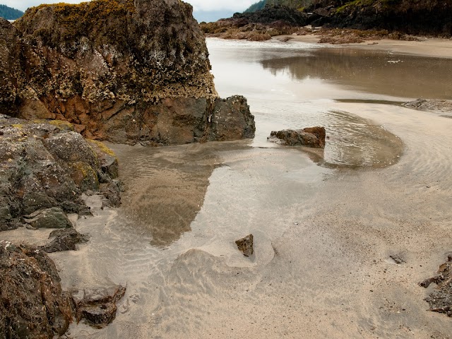 Cape Scott Provincial Park