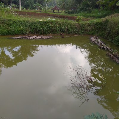 Photos of Warung Pulsa Komunika