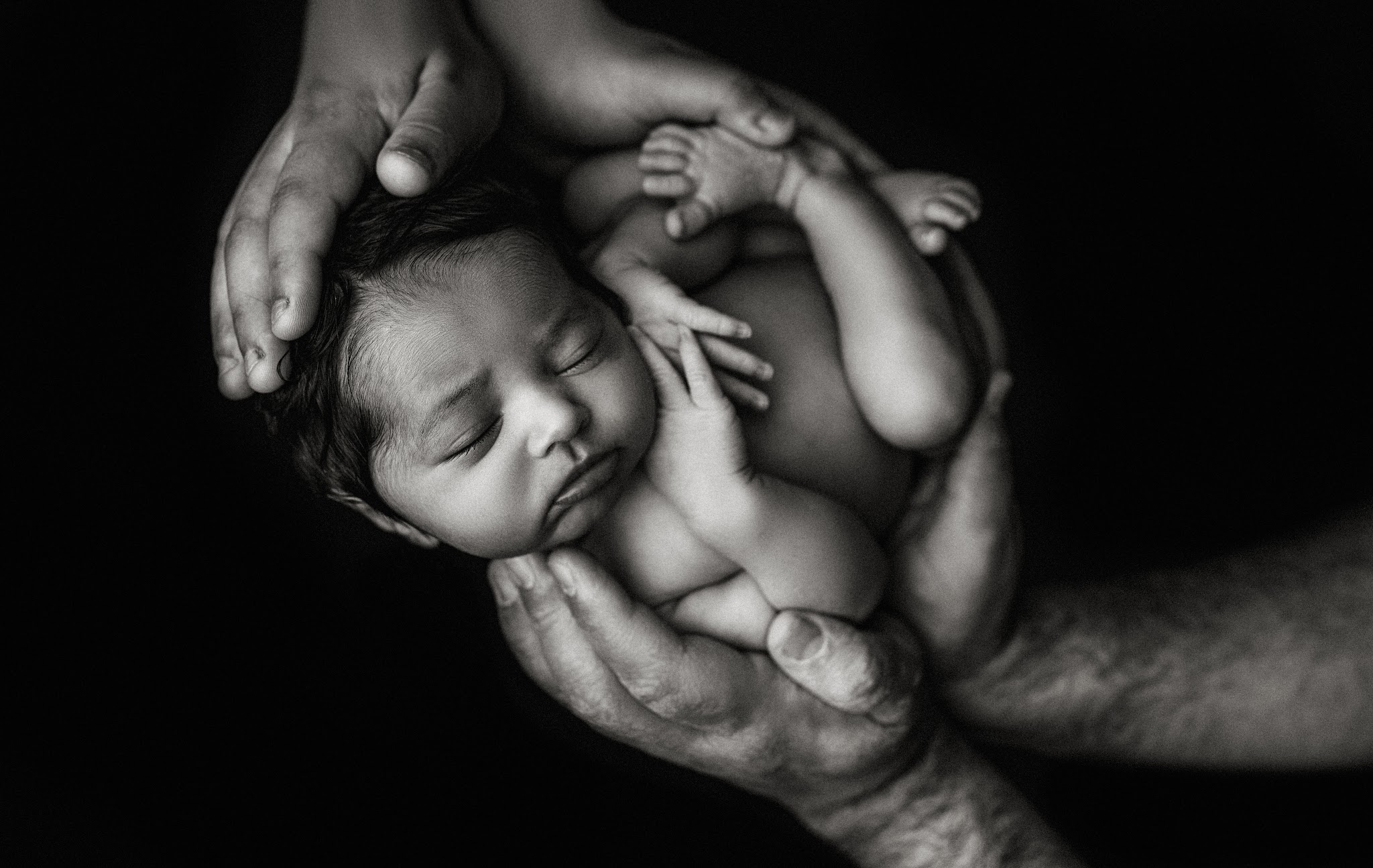 Lasting Images - Photography - photo 1