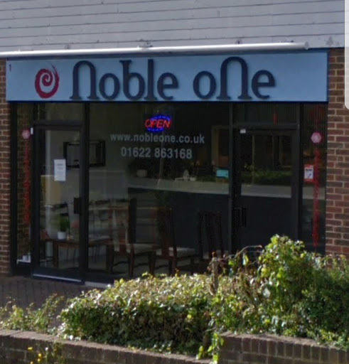 Noble One - Visual