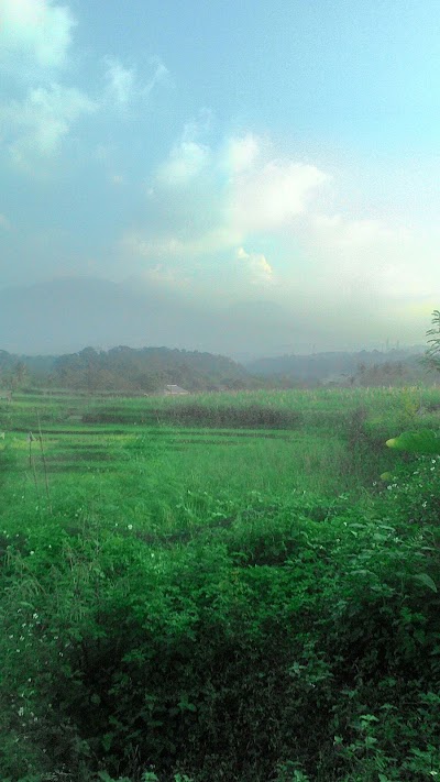 Photos of Pertamina Spbu 4450213