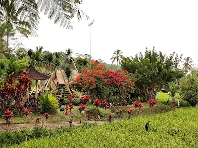 Photos of Sekar Bumi Tropical Farm