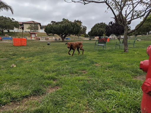 Barkin Park - Visual