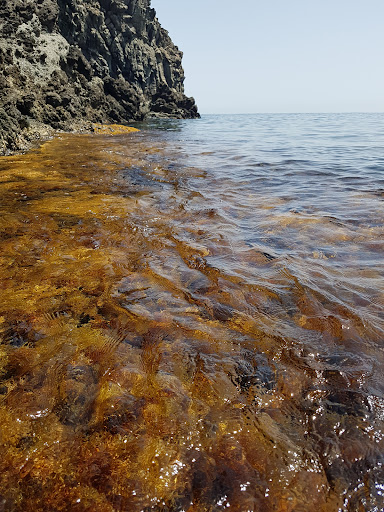 Cala Cottone - Visual