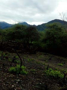 La Loma De Los Cardos Ecolodge 8