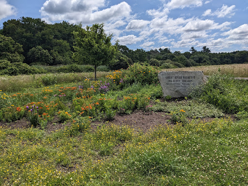 Taunton River Wildlife Management Area - Thumbnail