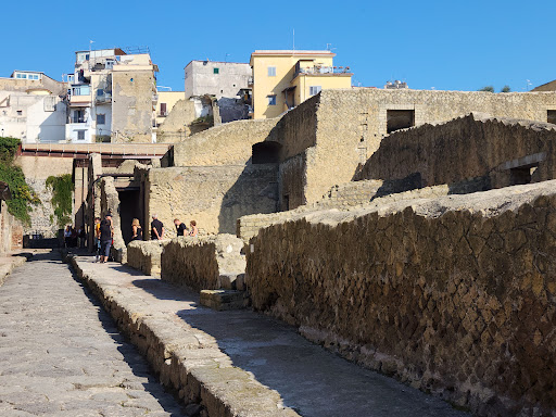 Archaeological Park of Herculaneum - Thumbnail