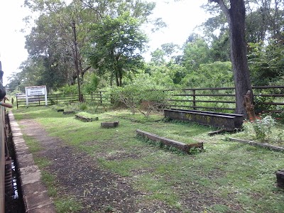 Photos of Palugaswewa