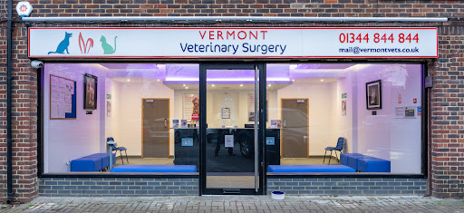 Vermont Veterinary Surgery - Thumbnail