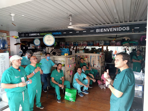 Hospital veterinario miston Itzcuintle