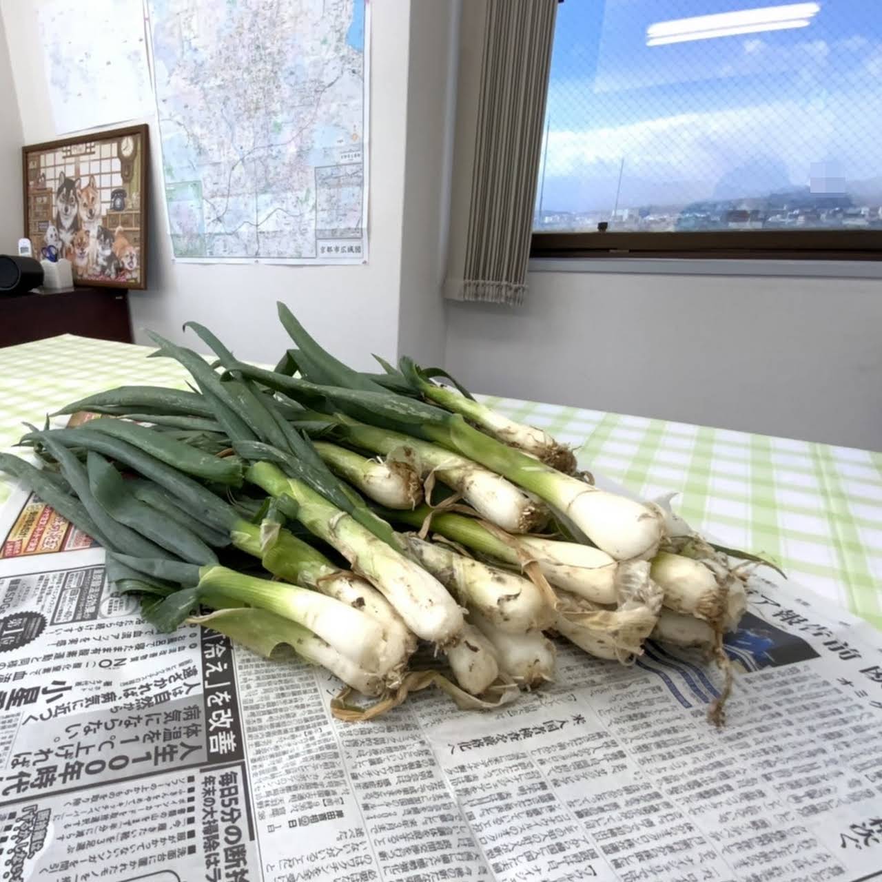 グローイング京都 南区のdisability Services Support Organisation