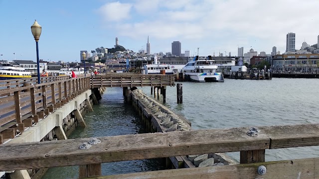 Pier 41