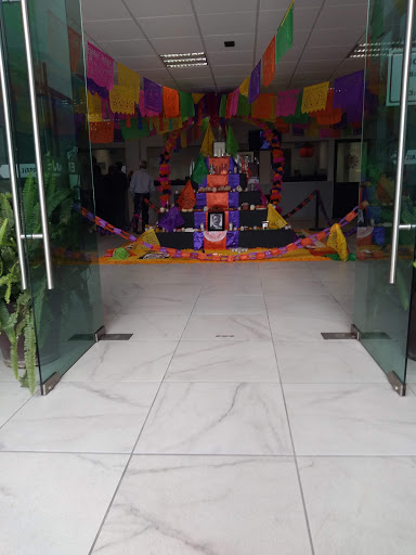 JIAPAZ - Thumbnail