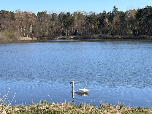 Kellmetschweiher