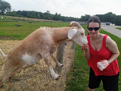 Domino’s Farms Petting Farm