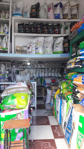 Petsfood - Visual