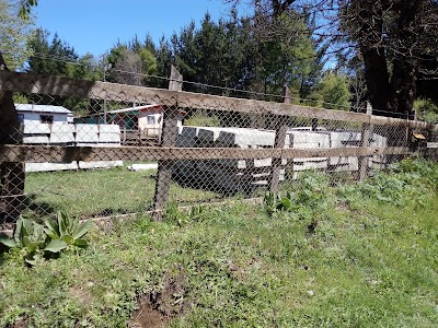 Photos of El Huachi