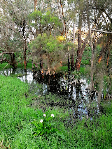 Foreshore Place Reserve - Thumbnail