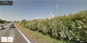 Photo n°14 de Hotmer Dinard à La Richardais (Magasin de surf)