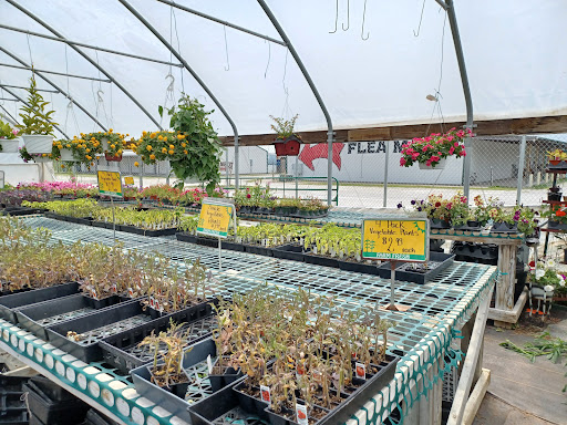 Leupold Greenhouse & Orchard - Thumbnail