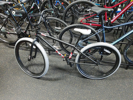 bearden Bike & Trail Gallery - United States
