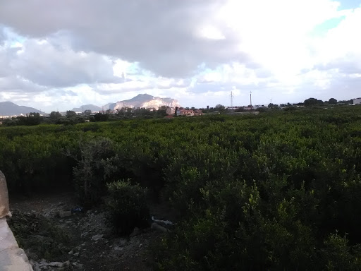 IBI srl - Visual