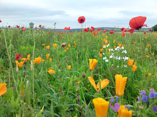 Stainland Recreation Ground - Thumbnail