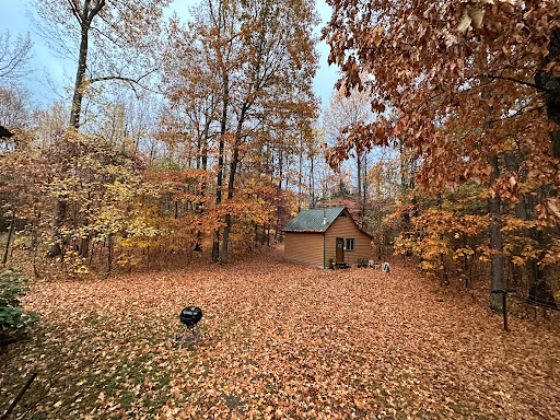 Yoga in the Woods