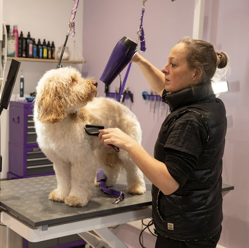 The Bubbly Paw Grooming Salon