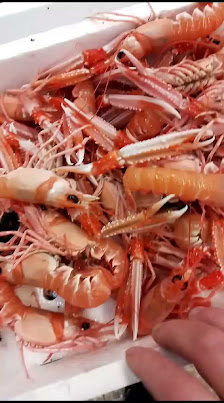 La freschezza del mare (pesce fresco) Corso Federici, 31, 84010 Cetara SA, Italia